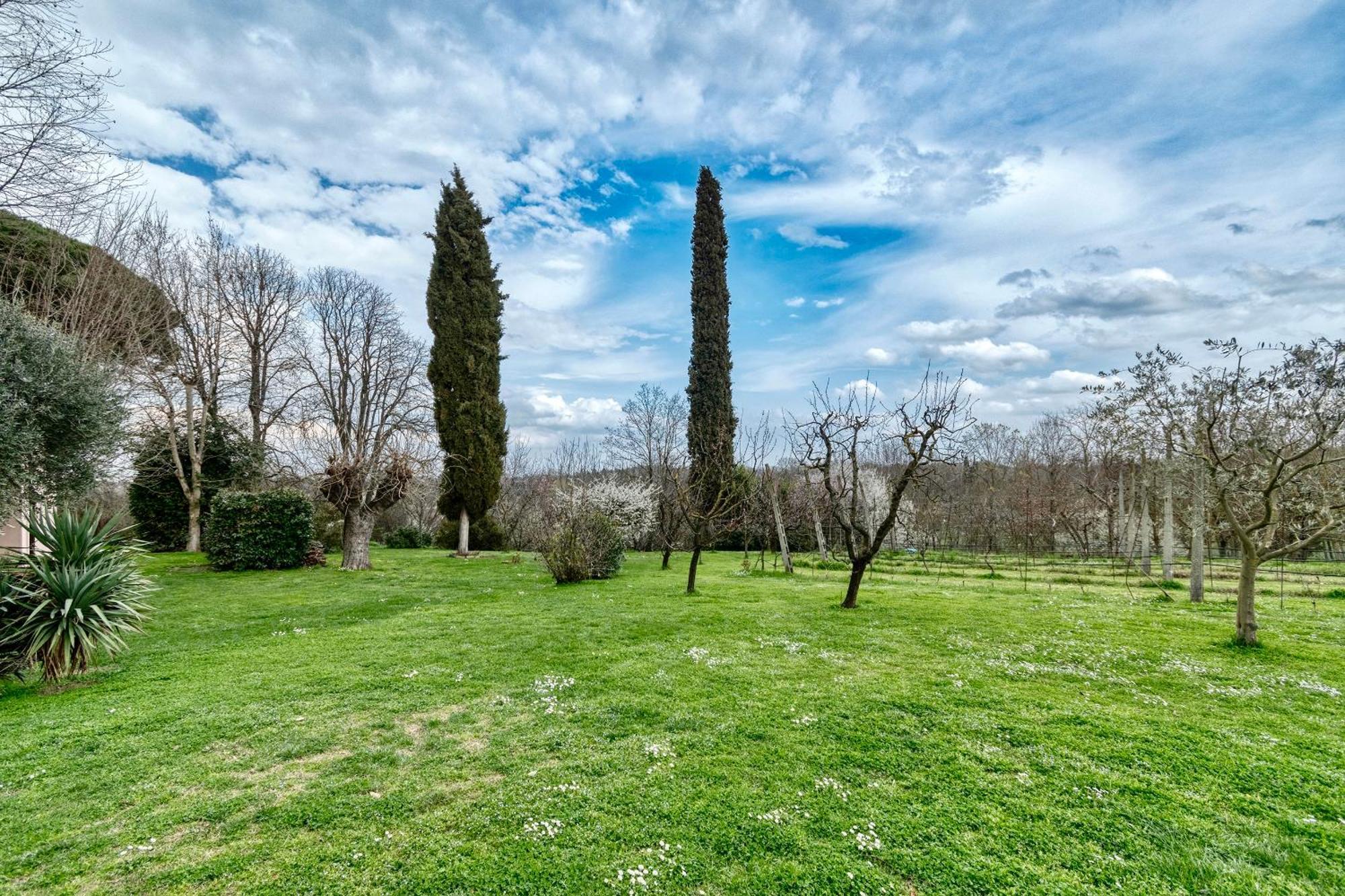Loft Con Vigna Sui Colli Bolognesi - Villa Govi Pancaldi 산레자로디사베나 외부 사진
